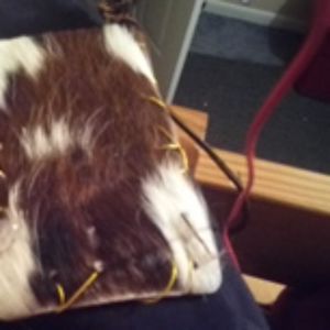 Satal  bag